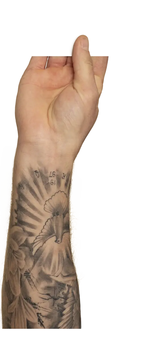 ręka
